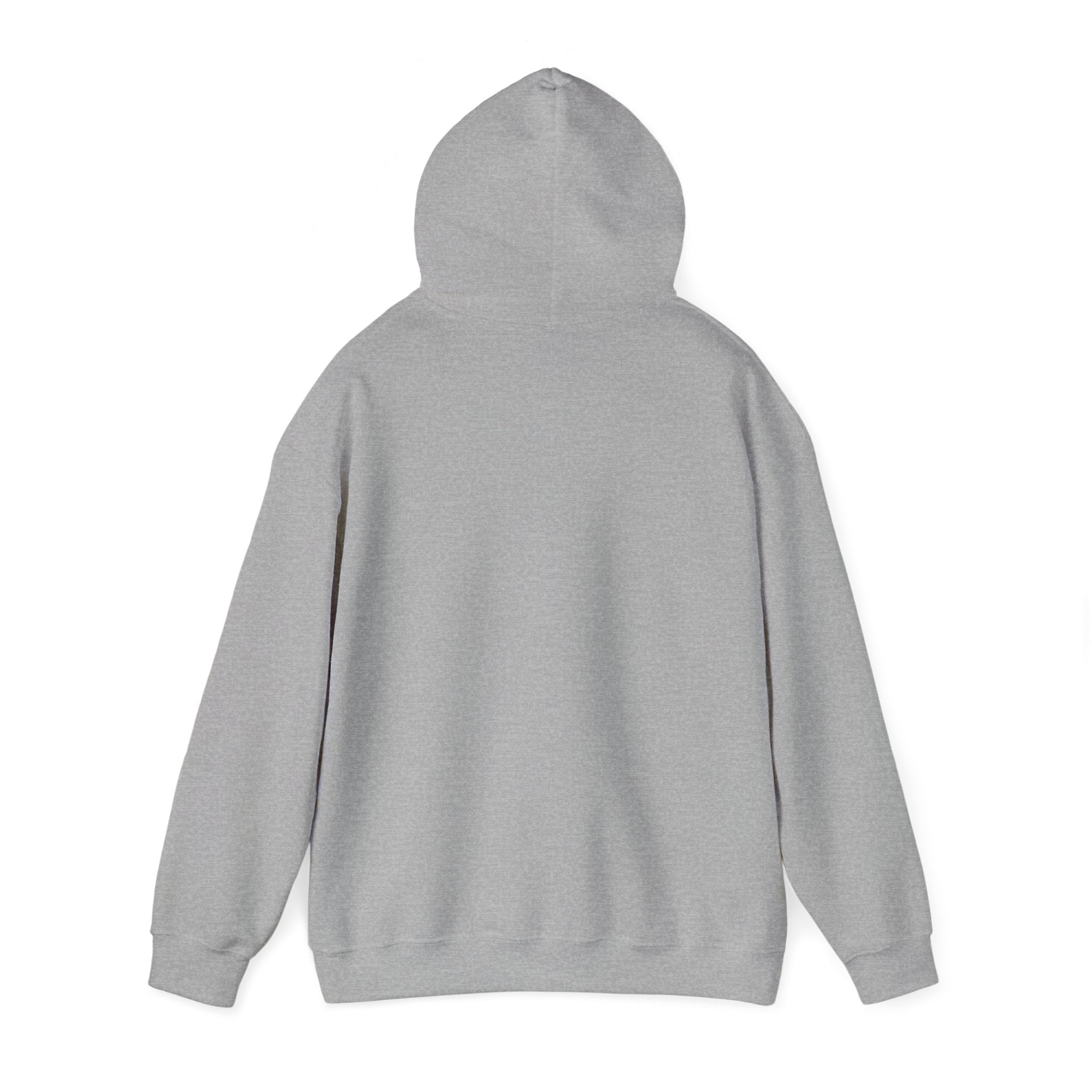 80/20 Rule - Pareto Principle Hoodie